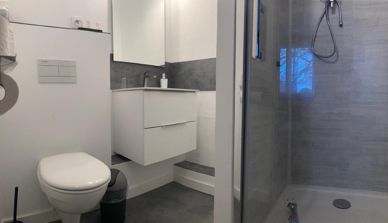 Orangerie Du Chateau Marith - Domaine Avec Piscine Clairac  Kamer foto