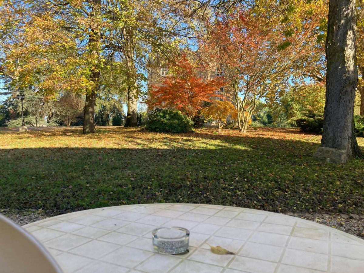 Orangerie Du Chateau Marith - Domaine Avec Piscine Clairac  Kamer foto