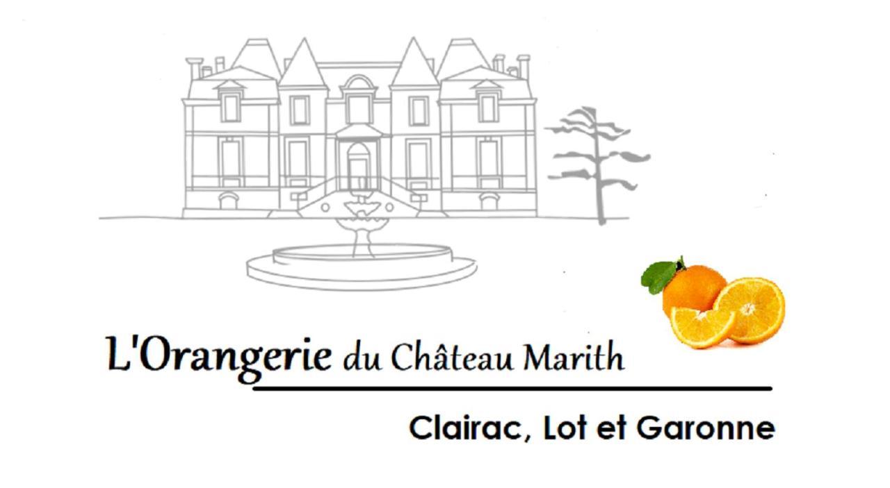 Orangerie Du Chateau Marith - Domaine Avec Piscine Clairac  Buitenkant foto