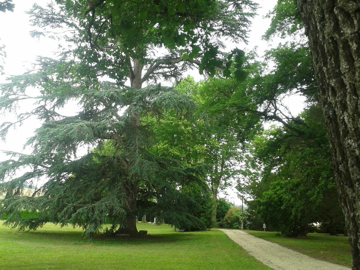 Orangerie Du Chateau Marith - Domaine Avec Piscine Clairac  Buitenkant foto