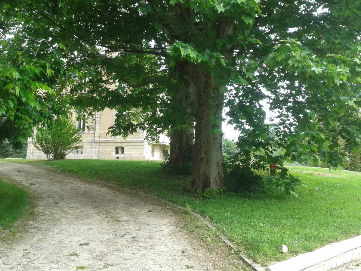 Orangerie Du Chateau Marith - Domaine Avec Piscine Clairac  Buitenkant foto